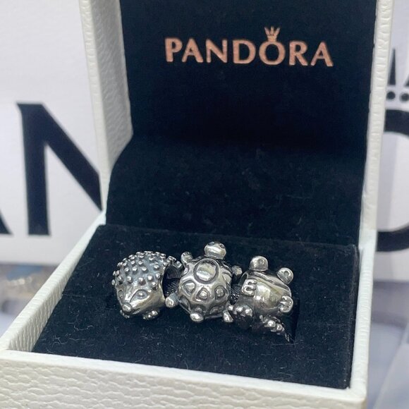 3 PANDORA CHARMS - Picture 1 of 3